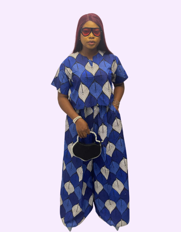 Ankara top and palazzo
